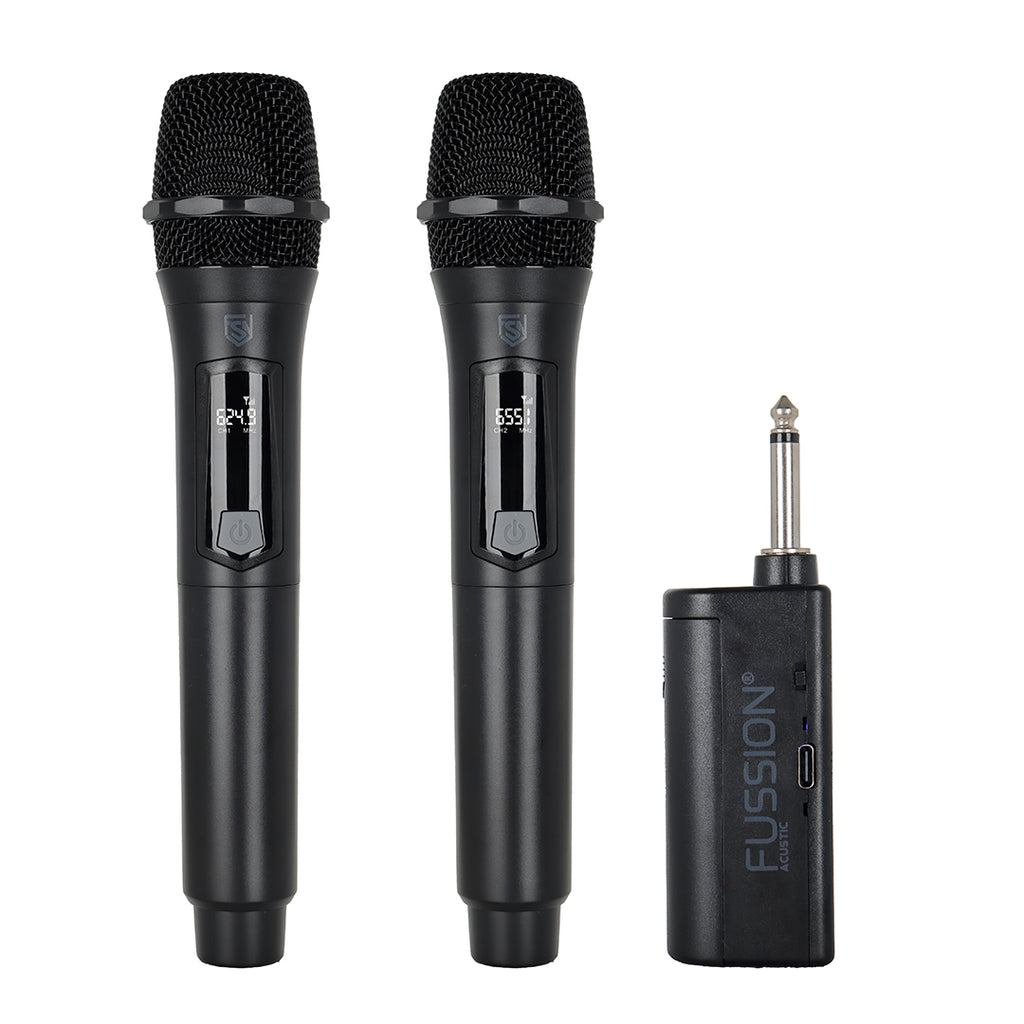 PARTY SOUND WIRELESS MIC DUO