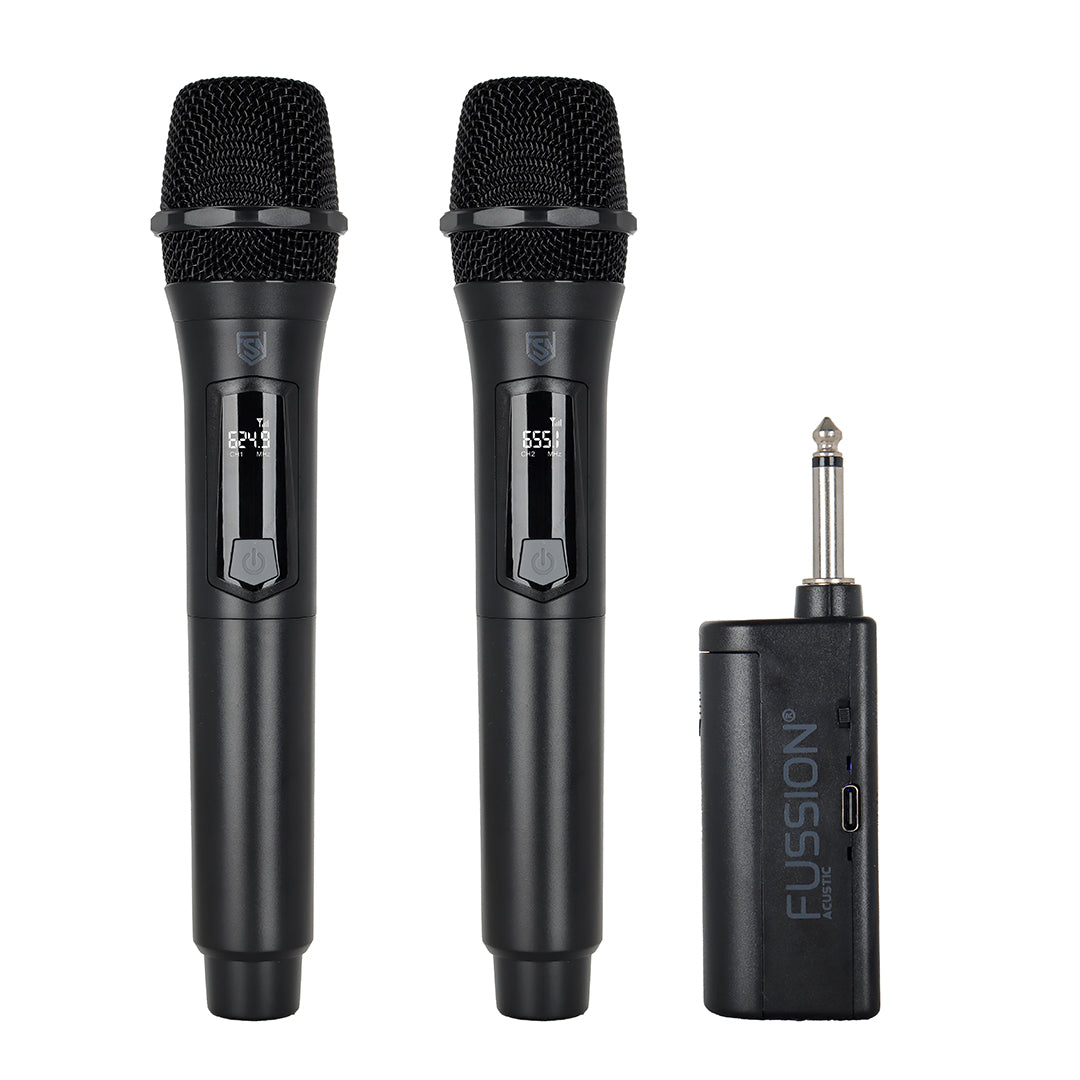 PARTY SOUND WIRELESS MIC DUO
