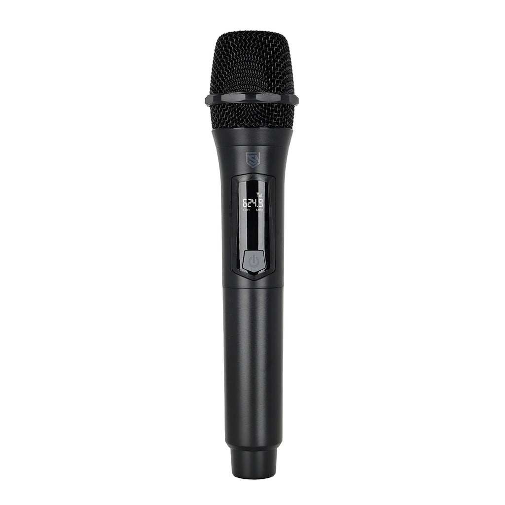 PARTY SOUND WIRELESS MIC DUO