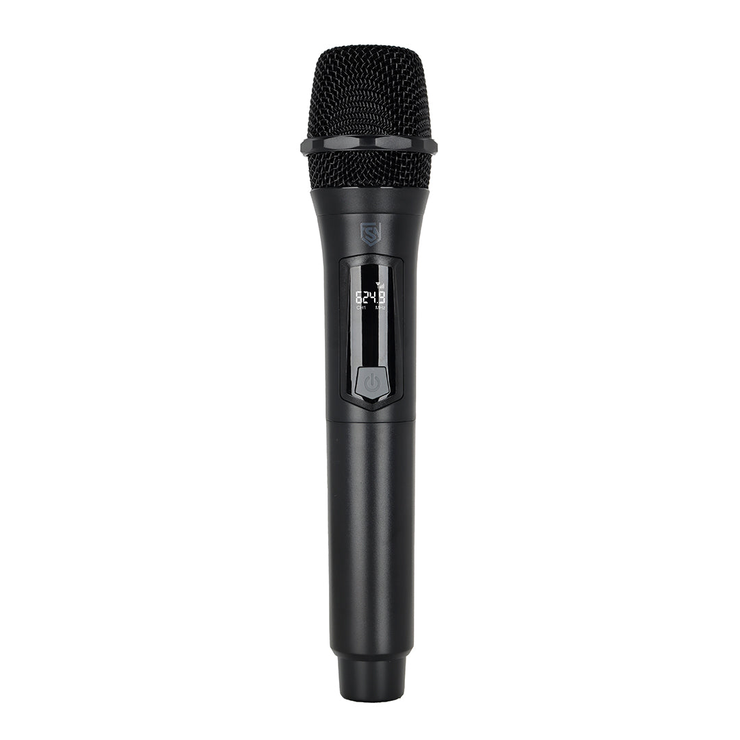 PARTY SOUND WIRELESS MIC DUO