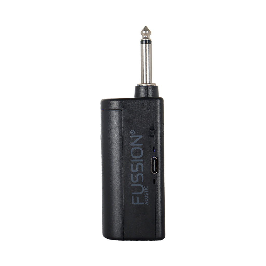 PARTY SOUND WIRELESS MIC DUO