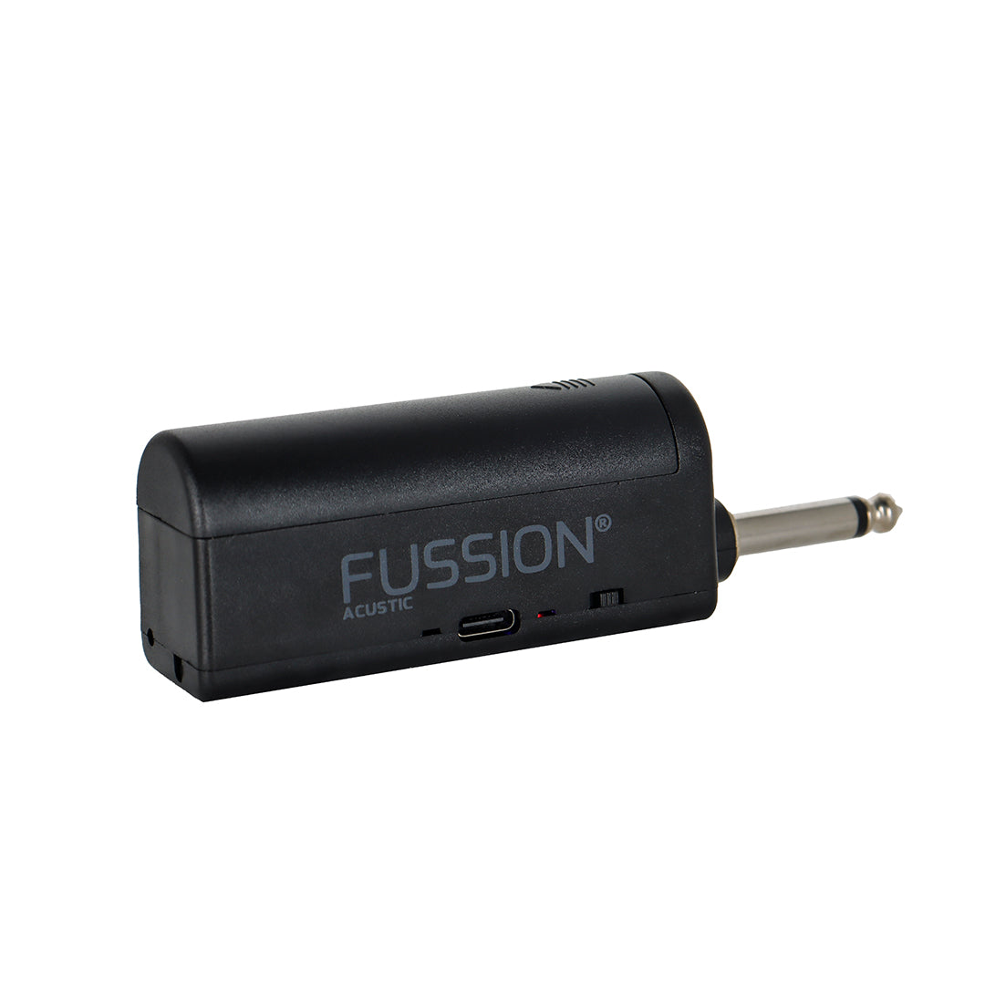 PARTY SOUND WIRELESS MIC DUO